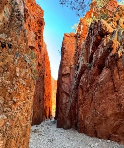 Read more about the article Larapinta Trail Itineraries: Plan Your Iconic Trek in Australia