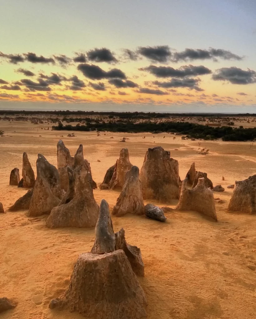 Pinnacles Day Trip