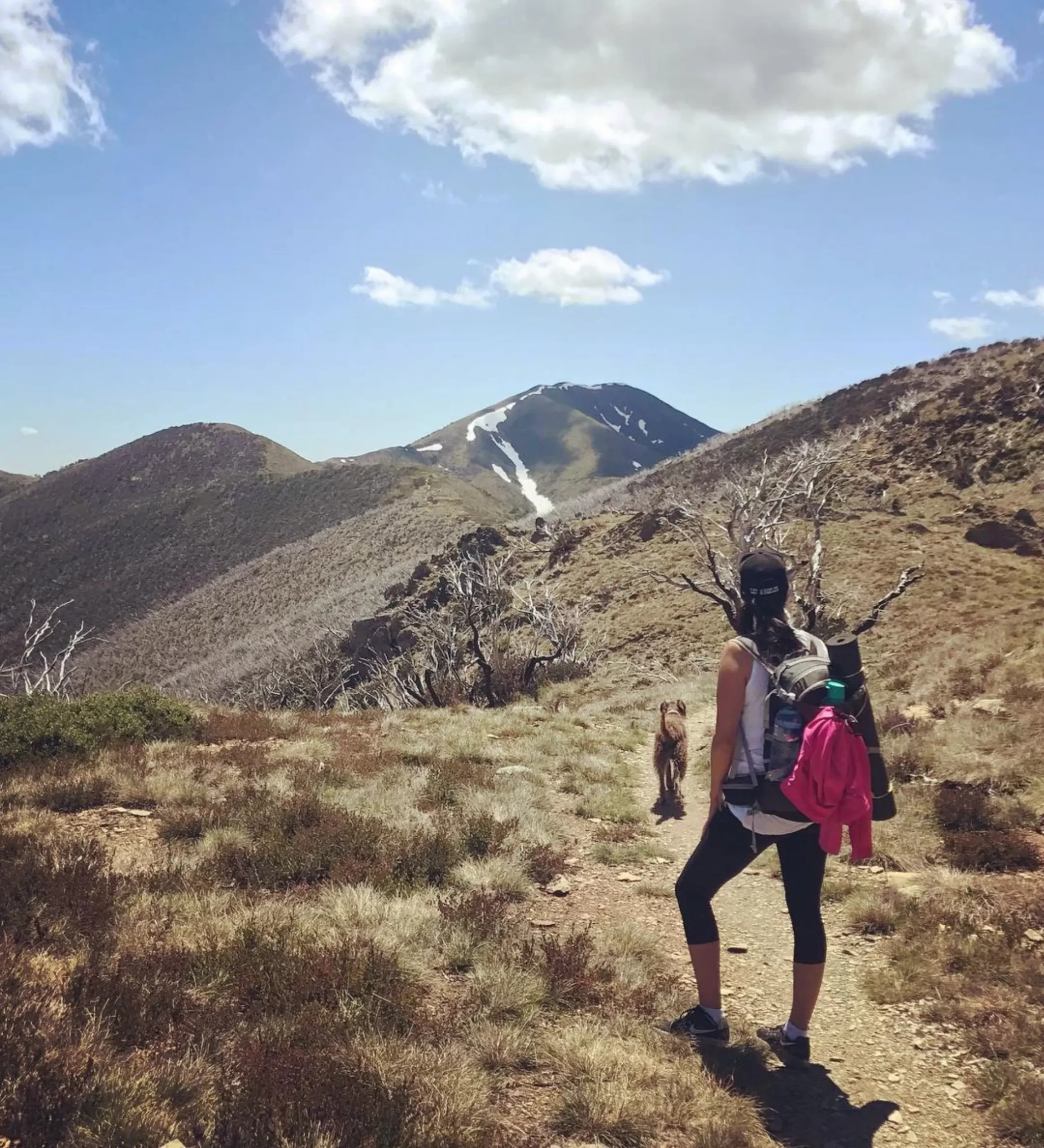 mild conditions, Larapinta