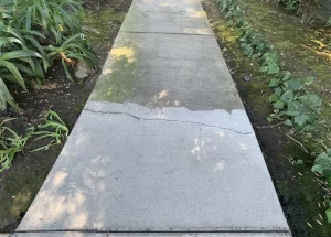Read more about the article How Professionals Remove Oil Stains from Concrete