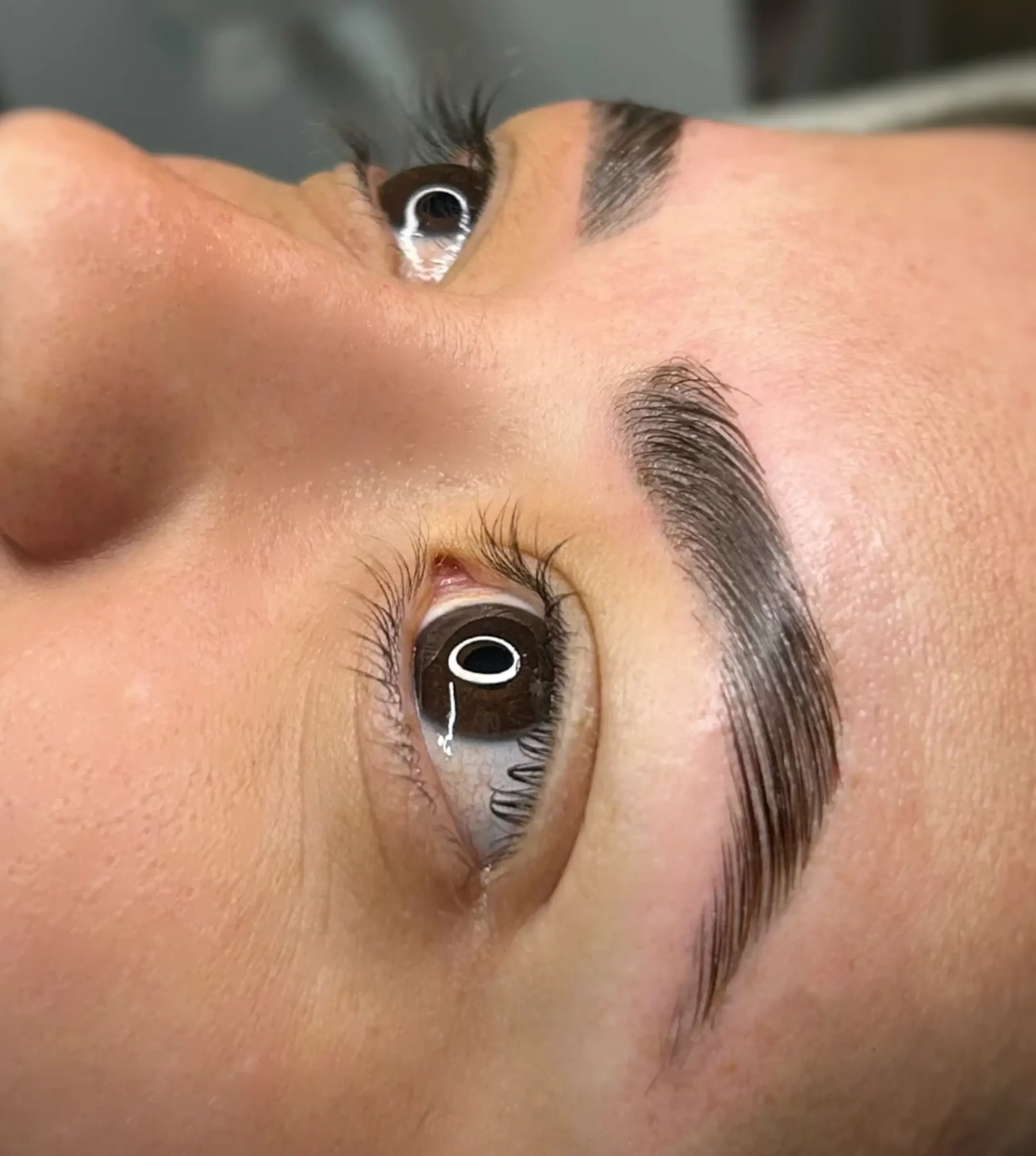 brow artist earnings