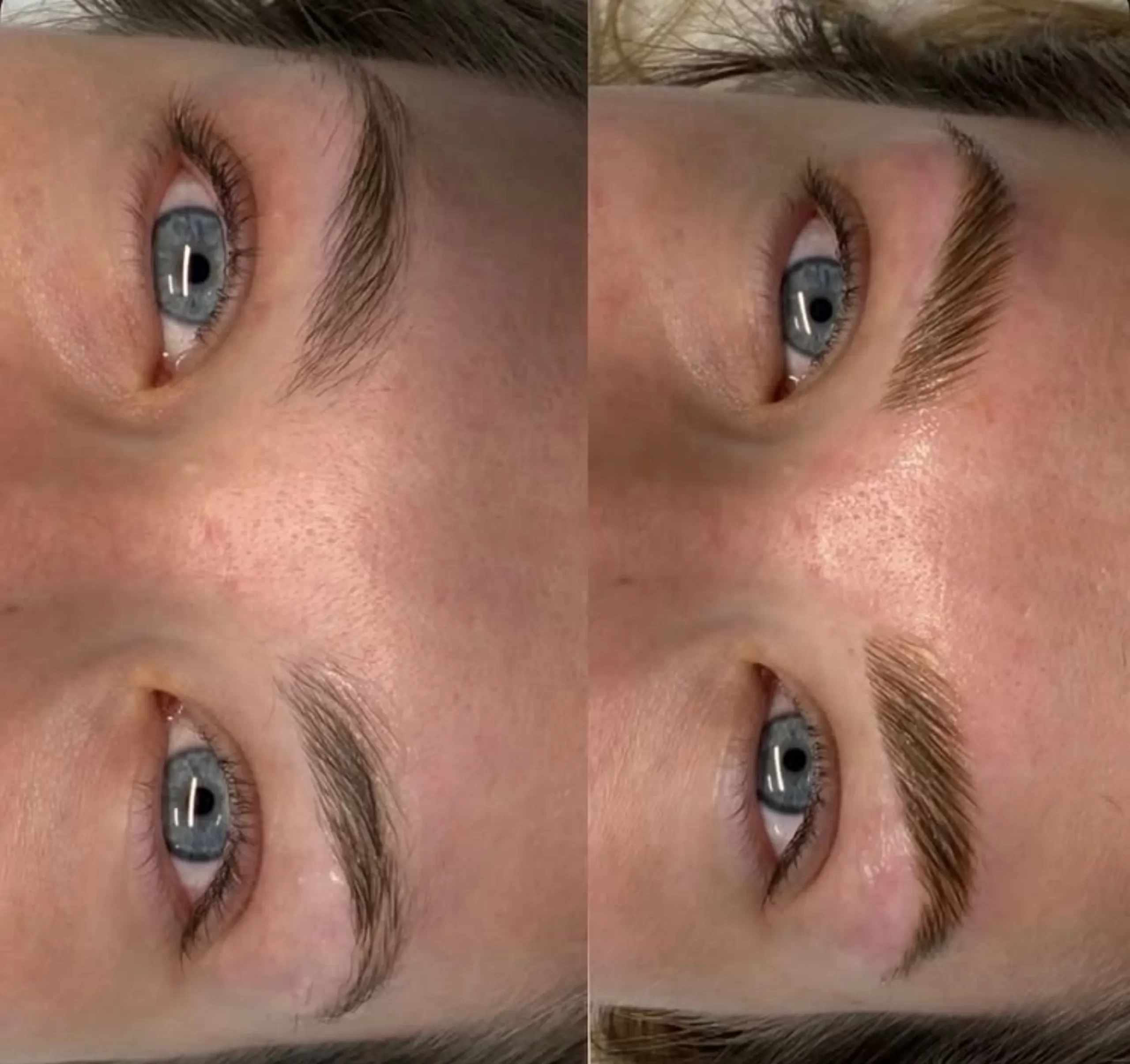 brow artist earnings